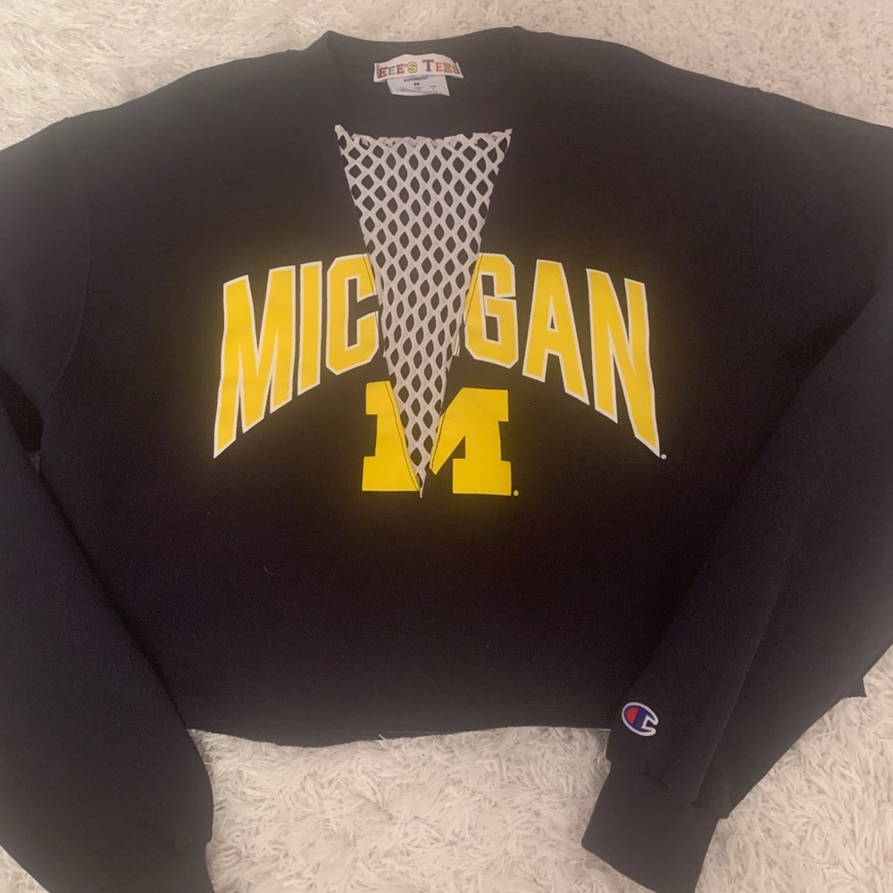 University of Michigan cropped champion sweatshirt